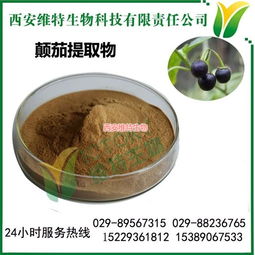 顛茄提取物 來源、應(yīng)用與西安維特生物科技的高清圖片展示