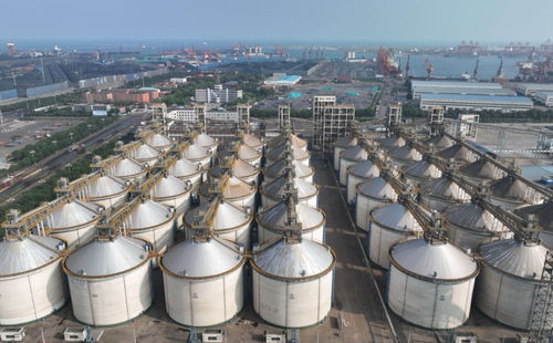 耕好無形糧田 從夏糧主產(chǎn)區(qū)看全鏈條節(jié)糧減損路徑